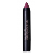 Camaleon basic colourstick...