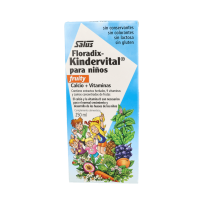Floradix Kindervital Fruity...